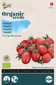 Afbeeldingsresultaat voor principe borghese tomato