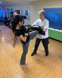 Image result for Somerset Jeet Kune Do