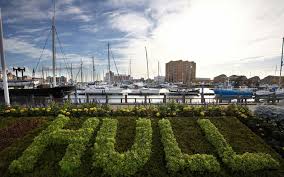 Image result for Hull