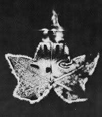 Image result for Jakub Jodko-Narkiewicz Kirlian