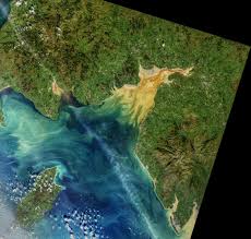 Image result for Solway