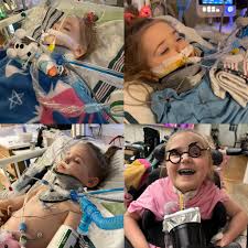 Image result for Co de Crista Chins