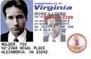 Look at the ID card closely