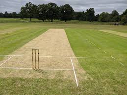 Image result for Adlestrop Daylesford & Oddington Cricket Club