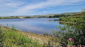 Image result for Hollingworth Lake Rowing Club