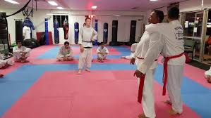 Image result for Silat Perisai Diri Classes Club