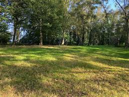 Image result for Itchen South District Scout Canoe Centre