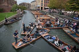 Image result for Thames Punting Club