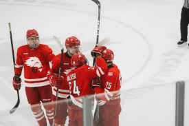 Image result for York University Street Hockey Club