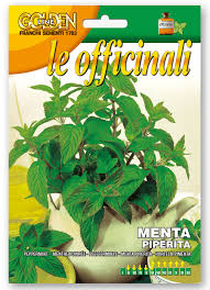 Image result for Menta x piperita