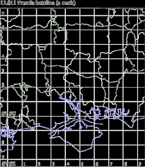 Attēlu rezultāti vaicājumam “Proutia betulina larva”