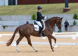 Image result for Bletchingly Badminton Club