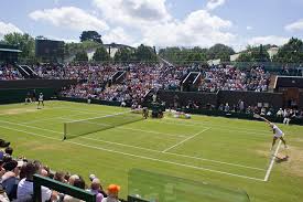 Image result for sigma tennis