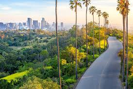 Image result for Phoenix Smbc