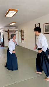 Image result for AikidoFlow