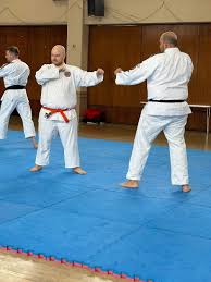 Image result for Alpha Judo Club