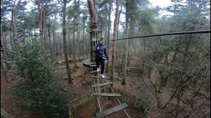 Image result for The Go Ape Experience (Delamere Forest)