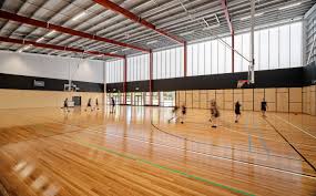 Image result for Sports Centre Netball