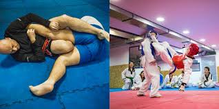 Image result for Tae-jitsu