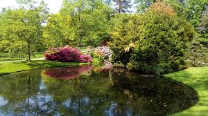 Image result for Arboretum Trompenburg