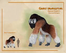 Attēlu rezultāti vaicājumam “Langermania gigantea”