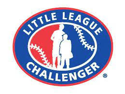 Image result for Disability Challengers