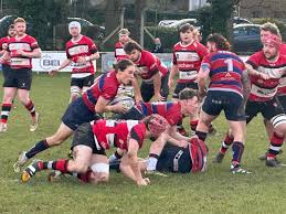 Image result for Alresford Rugby Club