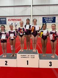 Image result for Rowan Gymnastics Club