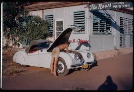 Image result for Tudor White 1982 Jaguar