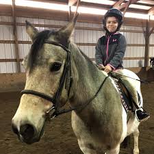 Image result for Bookham Riding School