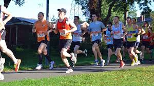 Image result for Shelton Striders