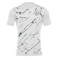 Image result for Chosen Hill Former Pupils Rfc