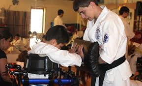 Image result for Aylesbury Vale Seido Karate