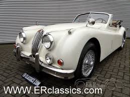 Image result for Old English White 1955 Jaguar