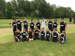 Image result for Mildenhall Cricket Club