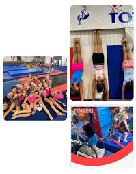 Image result for Asymmetrix Gymnastics Club