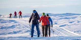 Image result for Scandinavian slope and cross country skiing