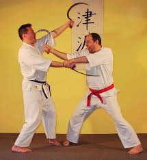 Image result for Tsunami Karate Club