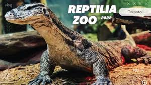 Attēlu rezultāti vaicājumam “Reptilia”