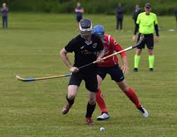 Image result for Ballachulish Shinty Club