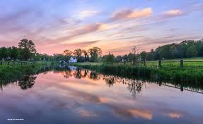 Image result for sonsbeek park