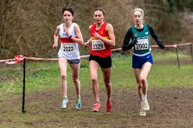 Image result for Westerlands Cross Country Club