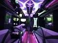New Orleans Party Bus Services - Party Buses in NOLA