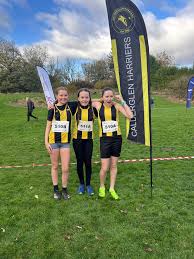Image result for Calderglen Harriers