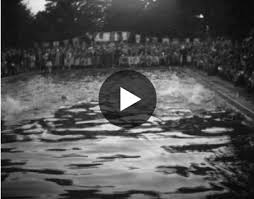 Image result for Lowestoft & Oulton Broad Swimming Club