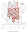 Antidiarrheal Drugs and Their Adverse Effects - Netter Medical Artwork