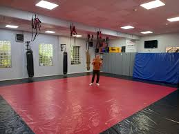 Image result for Tokei Martial Arts Club