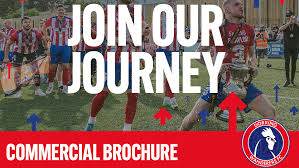 Image result for Dorking Wanderers F C