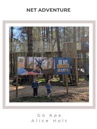 Image result for Go Ape! Alice Holt