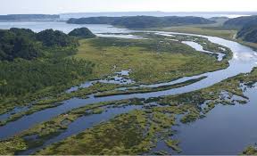 Image result for Bushiki Kwai